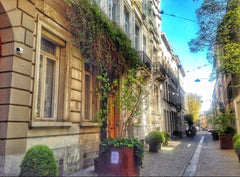 In my house  you can enjoy a charming combination of design and perfect comfort   New Spacious Studio   Toison d'or 2P Entire rental unit vacation rental 43688626