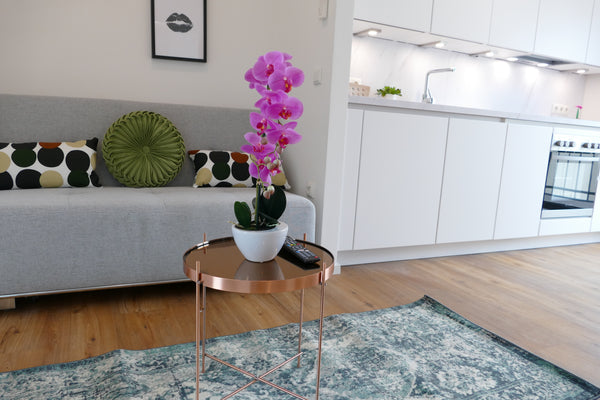 In unserem klimatisierten City Penthouse kommt Rundum-Wohlfühlstimmung auf. Die   Luxus Penthouse mit 2 Terrassen und Klimaanlage Entire rental unit vacation rental 698529866407502851