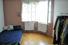 Die Wohnung liegt sehr nah an zwei U bahn Linien U4 und U6, und ist nur 10 minut Vienna, Austria Cosy Apartment/ Bequeme Unterkunft Entire rental unit vacation rental 20972719