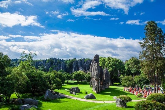 Private Guided Day Tour of Stone Forest and Naigu Stone Forest from Kunming  Private Tours and Travel Guide Asia Shanghai CITY Kunming Destination Tour