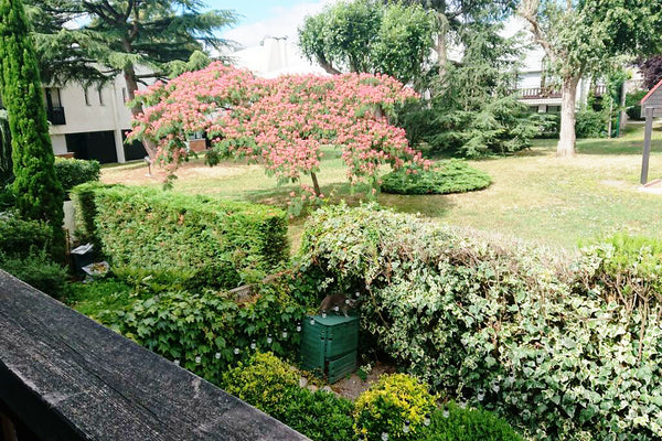 Au coeur du Bouscat, à 10 minutes de Bordeaux centre, notre logement est idéal p Bordeaux, France Maison de ville de 115 m2 au cœur du Bouscat Entire townhouse vacation rental 44070904