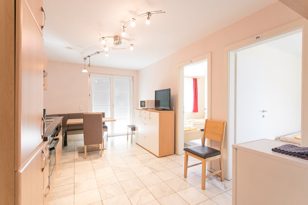 Quiet apartment for six people with paid parking (reservation needed) and a nice Vienna, Austria Apartment L3 up to 6 people - paid parking+garden Entire condo vacation rental 30796756