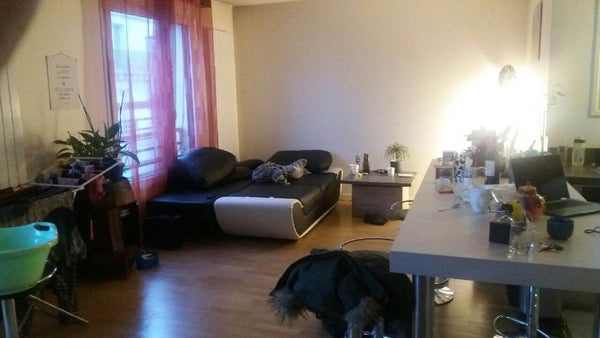 chambre dans un appartement chaleureux Paris, France super appartement canal de l'Ourq/Villette Private room in rental unit vacation rental 19938050