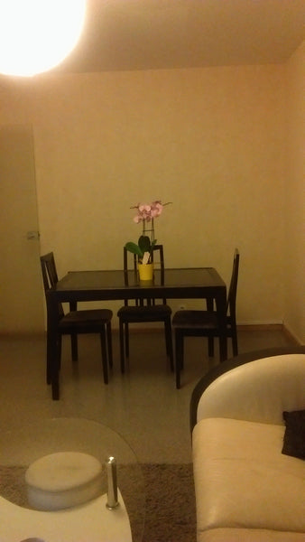 T3 avec 1 chambre ( 2 a voir sous conditions), salon/salle à manger, salle de ba Génissac, France T3 Entire condo vacation rental 19409986