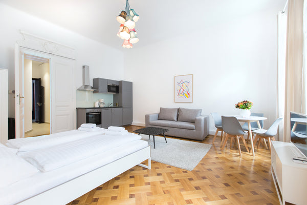 The studio apartment consists of:<br /><br />A beautifully decorated living and  Vienna, Austria Fabulous City Center Studio Apartment - Apt 25A Entire rental unit vacation rental 13517806