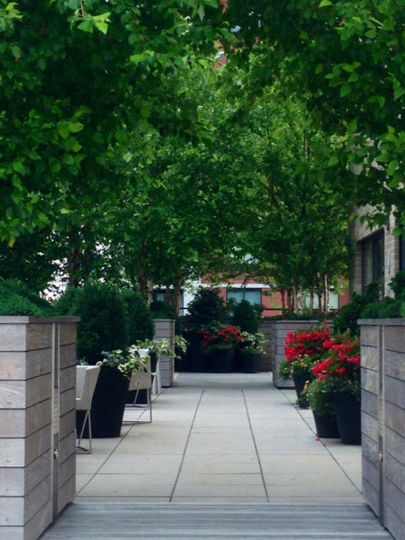 Minimum stay 10 days!!!!<br />luxury one bedroom with doorman, reception, laundr New York, NY Rental unit in New York · ★4.67 · 1 bedroom · 2 beds · 1 bath Entire rental unit vacation rental 3213712