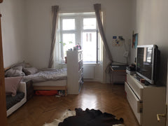 A quiet and very bright room within five minutes walking distance to the city ce Vienna, Austria Comfortable room in city center Private room in rental unit vacation rental 12201968