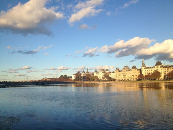 In the heart of Nørrebro and overlooking the lakes. Beautiful, quiet and central Copenhagen, Denmark Central Copenhagen Lake View Entire rental unit vacation rental 2271817