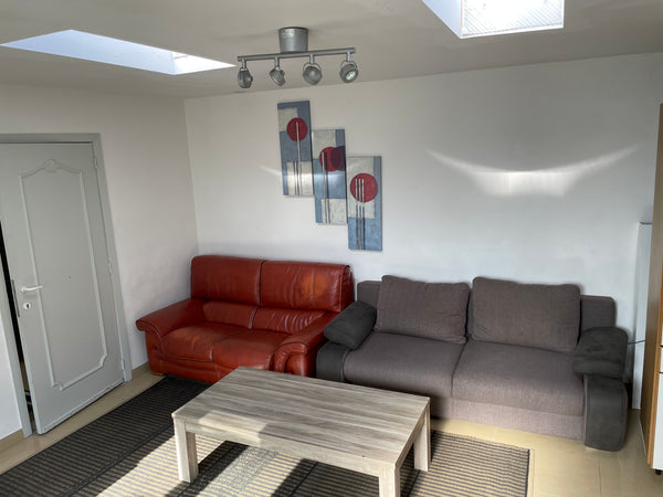 Spacious appartement <br />Free Wifi <br />Private shower and toilet<br />2 bedr Brussels, Belgium Appartement in Brussels Private room in guesthouse vacation rental 48322806