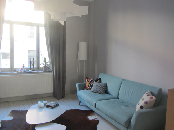Jolie maison typiquement bruxelloise lumineuse et accueillante, entièrement réno Schaerbeek, Belgium chambre dans maison familiale Private room in home vacation rental 6707880