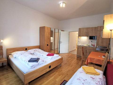 Completely renovated studio for 2+2 people, very well connected, right next to t Vienna, Austria New Studio Type A4 Entire rental unit vacation rental 2861127