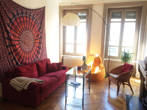 EMPLACEMENT IDEAL ! <br />Rue du Président Edouard Herriot (à 1mn à pied du metr Albens, France Appartement charme à Hotel de Ville ! Entire rental unit vacation rental 24115542