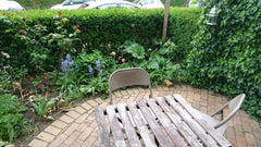Small but fully equipped apartment in charming and quiet area close to central C Copenhagen, Denmark Small appartement with own garden Entire rental unit vacation rental 14107418