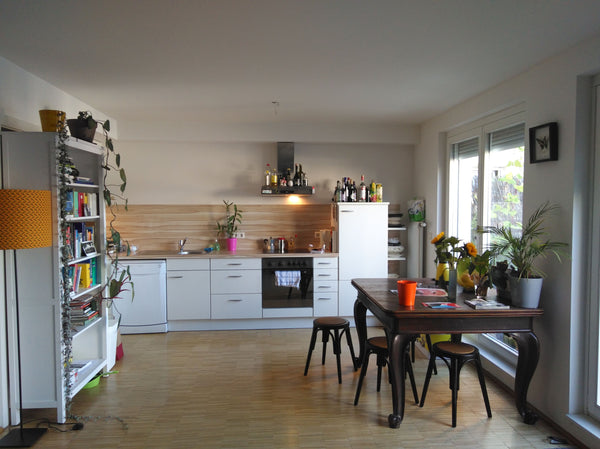 Vienna, Austria Privat room in huge, comfortable rooftop apartment Private room in rental unit vacation rental 3445928