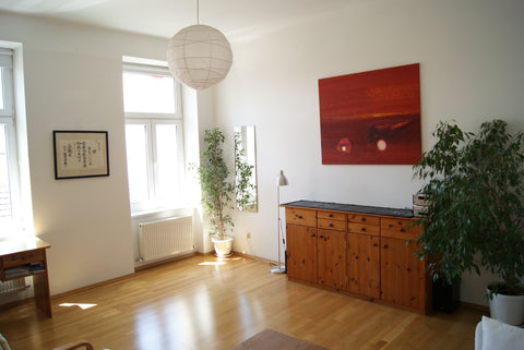 living room<br />sleeping room (separate)<br />kitchen<br />bath room with batht Vienna, Austria 50m² flat to rent Entire rental unit vacation rental 3347755