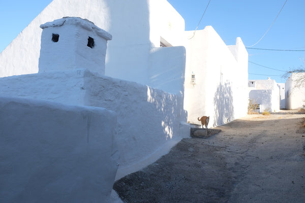 My house is at the edge of the village Lahania. It is very quiet, with great vie Essen, Germany Greek Style village house with a stunning view Entire home vacation rental 17115872
