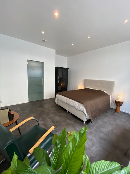 Op 100 meter van het centraal station, in de hype Kievitbuurt, ligt deze spikspl Antwerp, Belgium Prachtig nieuwe studio in hartje Antwerpen! Entire condo vacation rental 548458554611152778