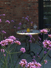 Gezellige en stijlvol ingerichte b&b gelegen in een rustige woonwijk in Ekeren,   B&B Sint-Mariaburg Private room in bed and breakfast vacation rental 44589022