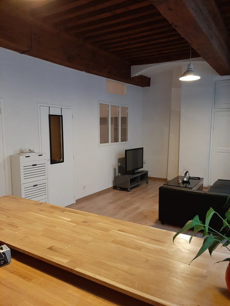 Appartement  de 50 m2 en plein centre de Lyon idéal pour un couple ou petite fam Lozanne, France Lyon centre:Appartement chaleureux plein de charme Entire rental unit vacation rental 29052978