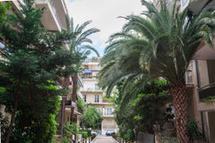 A lovely and very comfortable apartment in a safe and quiet street in a central  Athens, Attica, Greece Athenian Luxury in the Hilton area Entire rental unit vacation rental 33184666