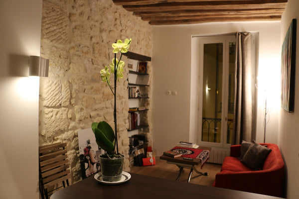 Je voyage suivant par AirBnB et c’est la première année que je propose mon appar Paris, France Lovely & Central *****       (En) Entire rental unit vacation rental 6449228