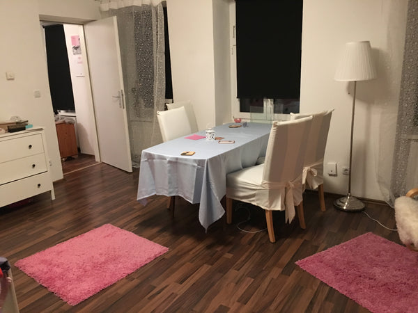ich vermiete meine schön eingerichtete einraumwohnung (34m2) im 15. bezirk.<br / Magdeburg, Germany Stilvolle, ruhige Wohnung mit Innenhoflage Entire rental unit vacation rental 19462988