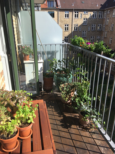 Bright and spacious apartment with a big sunny balcony. The apartment is located Copenhagen, Denmark Cosy apartment with sunny balcony Entire rental unit vacation rental 44304376