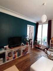 When I saw it the first time, I knew I wanted that One !There's a lots of space, Paris, France Studio, Paris spirit: Ideal Private room in rental unit vacation rental 6857305