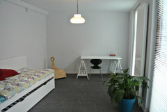 Roomy studio with lots of natural light, 25m², newly renovated. Shared kitchen,  Saint-Josse-ten-Noode, Belgium Semi-studio, 2nd floor, 25m² Private room in rental unit vacation rental 3574815