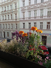 Klidná ulice v centru města s ideální dostupností po celém městě. V blízkosti za Prague, Czechia Prague 2 Byt Entire rental unit vacation rental 27362250