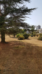 Découvrez Bordeaux et sa région depuis cet appartement idéalement situé dans pet Bommes, France Idéal pour découverte de Bordeaux et sa région Entire condo vacation rental 37042721