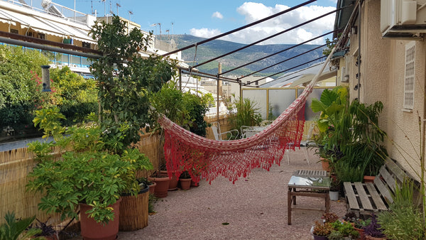 Are you keen on co-living rather than getting just a cheap accommodation? <br /> Flörsheim-Dalsheim, Rhineland-Palatinate, Germany charming, old oasis with huge garden terrace Private room in rental unit vacation rental 39554972