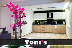 Enjoy the iconic design,  grand, modern and with a big terrace, suitable for cou Athens, Attica, Greece Toni's - 2BD Apartment with Terrace next to P. Stadium Entire rental unit vacation rental 17716763
