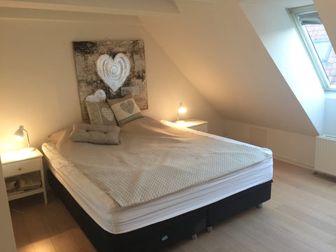 Big Penthouse in Copenhagen city center by "Strøget" and 2 min from Nørreport St Copenhagen, Denmark Big penthouse located in Cph City by "Strøget" Entire condo vacation rental 20402568