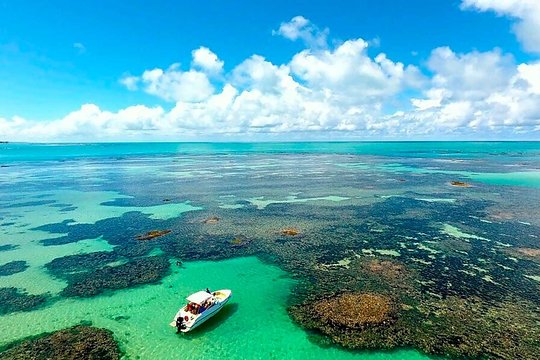 Full Day Visit to Paripueira Beach and Tide Pools in Maceió  Private Tours and Travel Guide America Maceio CITY Maceio Destination Tour