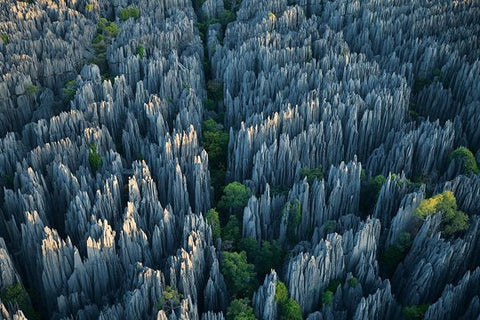 1 Day Stone Forest & Jiuxiang Cave Tour  Private Tours and Travel Guide Asia Shanghai CITY Kunming Destination Tour Asia Shanghai CITY Kunming