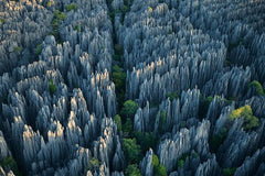 1 Day Stone Forest & Jiuxiang Cave Tour  Private Tours and Travel Guide Asia Shanghai CITY Kunming Destination Tour Asia Shanghai CITY Kunming