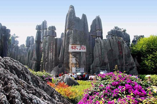 Private Tour of Stone Forest Geological Park in Kunming  Private Tours and Travel Guide Asia Shanghai CITY Kunming Destination Tour