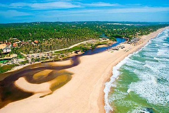 Private Beach Buggy Tour Praia do Forte by Emytour  Private Tours and Travel Guide America Bahia CITY Salvador da Bahia Destination Tour