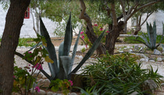 Spacious maisonette "Stavros", with traditional decoration in a small bioclimati Athens, Greece Sea View Cycladique Maisonette Entire home vacation rental 13052330