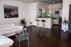 Super luxury apartment right in the heart of city with walking distance everywhe Prague, Czechia LUXURY APARTMENT (Wenceslass square) Entire rental unit vacation rental 13756783