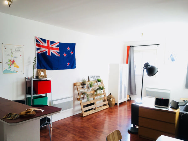 Bel appartement lumineux de 70m2 situé dans une rue calme en plein coeur du quar Bordeaux, France Grand deux pièces lumineux au coeur des Chartrons Entire rental unit vacation rental 23125092