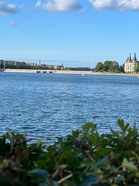 Amazing big and bright apartment with Lakeview in the center of Copenhagen. Clos  Lakeview apartment in the center of Copenhagen Entire condo vacation rental 667771771409217397