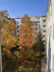 I am a student offering my flat during the summer!<br />Since my flat faces a bi Vienna, Austria Charming place to relax and feel at home Entire rental unit vacation rental 675863120660370382