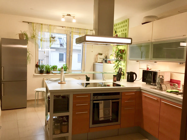 Luminous room in a newly renovated apartment near central station. Direct connec Vienna, Austria Room near Central Station and City Center Private room in rental unit vacation rental 25965023
