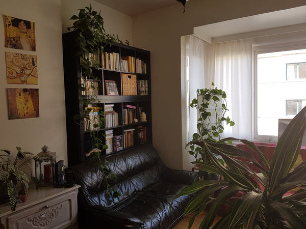 A couple with a sense of hospitality. A comfortable, clean and fully- equipped a Uccle, Belgium A snug room next to the center of Brussels Private room in rental unit vacation rental 14050792