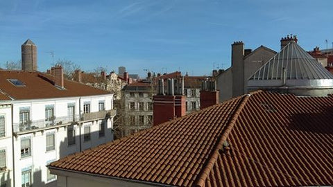 Bienvenue chez moi !<br />Je suis artiste et donc souvent en voyage. <br />C'est Lyon, France Appartement avec balcon - très central Entire rental unit vacation rental 22916121