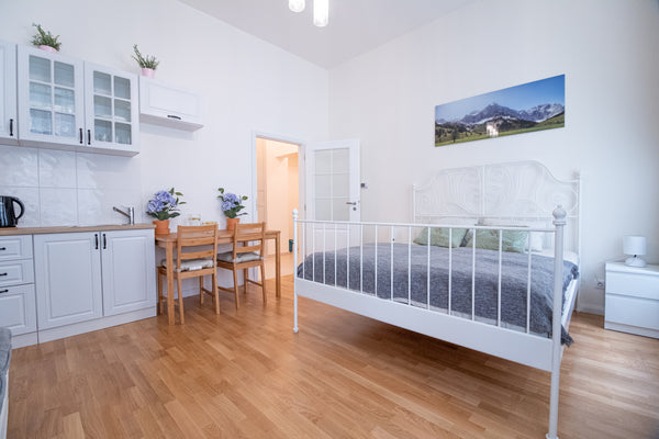 Favorite apartment in the center of Prague Entire rental unit vacation rental 50036777