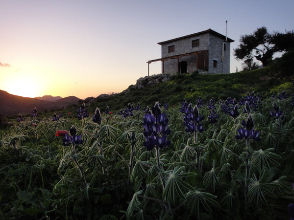 Just outside of the traditional village Kerames in the location Akonize lies our Brøndby Strand, Denmark Kerames South Crete - Akonize Entire cottage vacation rental 24057514