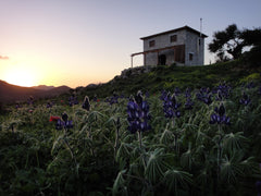Just outside of the traditional village Kerames in the location Akonize lies our Brøndby Strand, Denmark Kerames South Crete - Akonize Entire cottage vacation rental 24057514